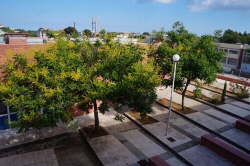 ξενώνες1