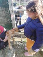 εκπαιδευτικές δράσεις σε σχολεία